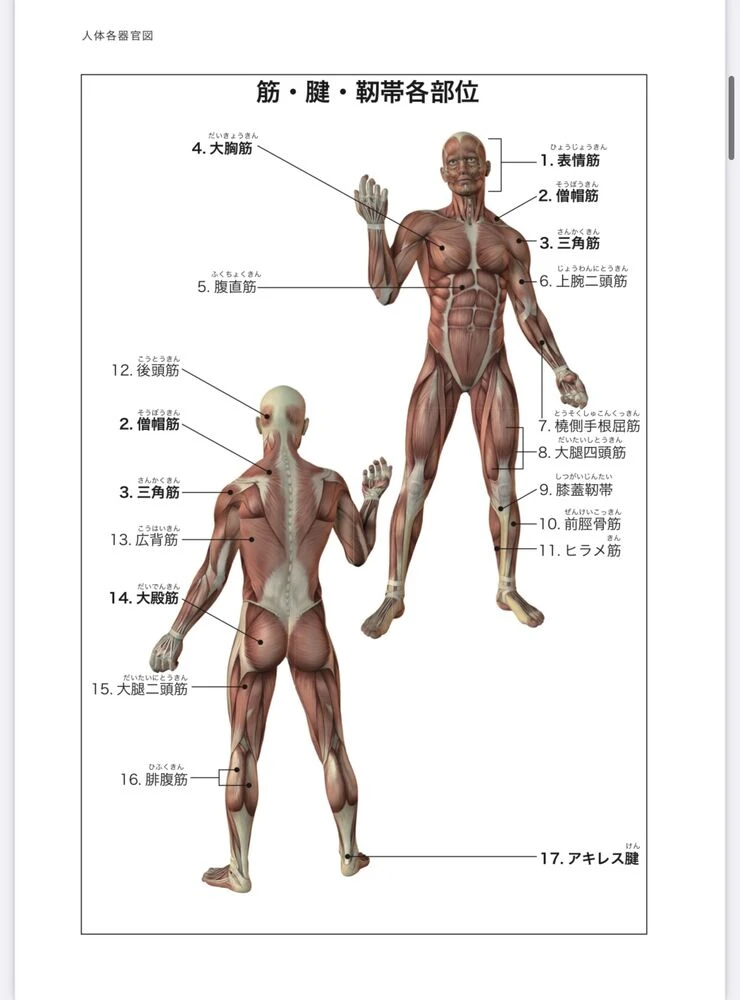 ブログ